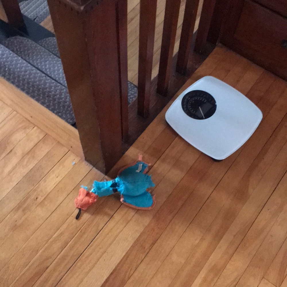 Meet your Posher, Natalie